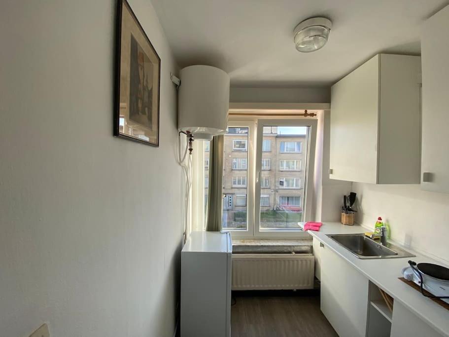 Прекрасная Студия В Г. Антверпен Antwerp Exterior photo